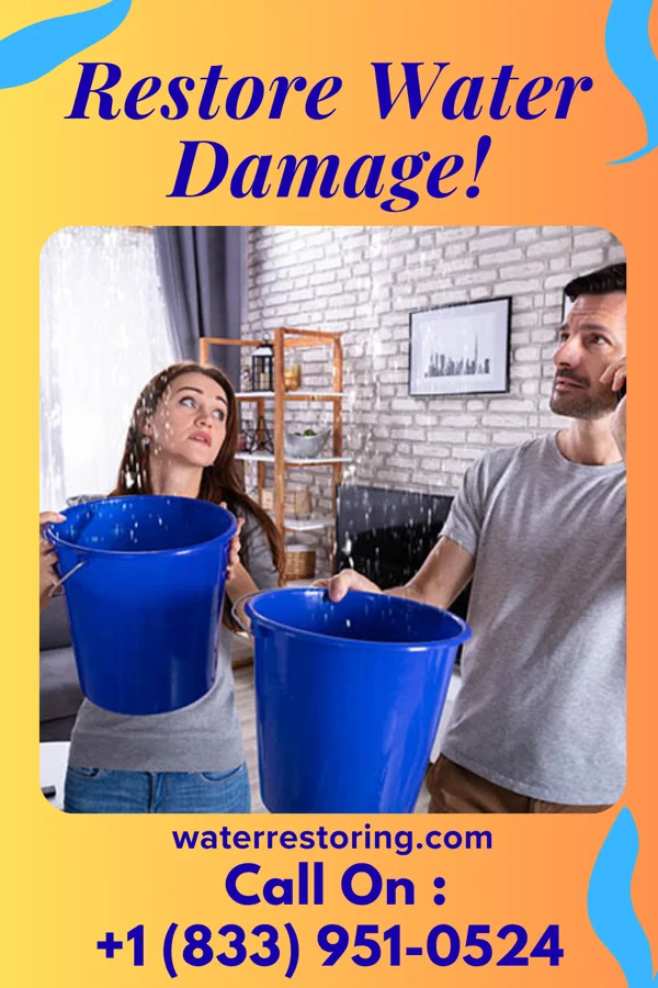 water restoration Stellar Recovery Specialists Shadyside