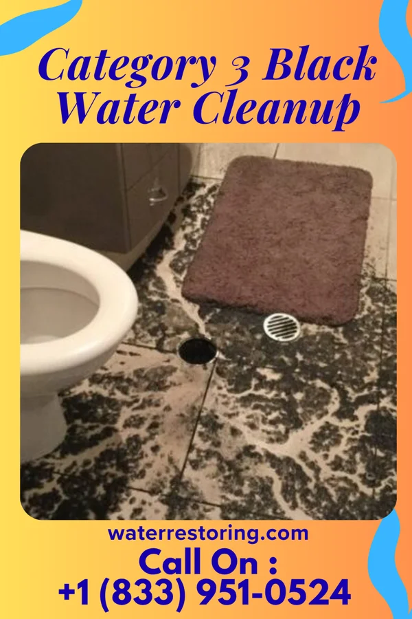 Category 3 Black Water Cleanup in Shadyside, OH