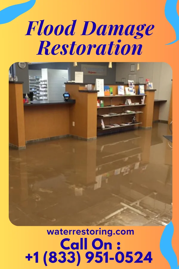 Flood Damage Restoration in Shadyside, OH