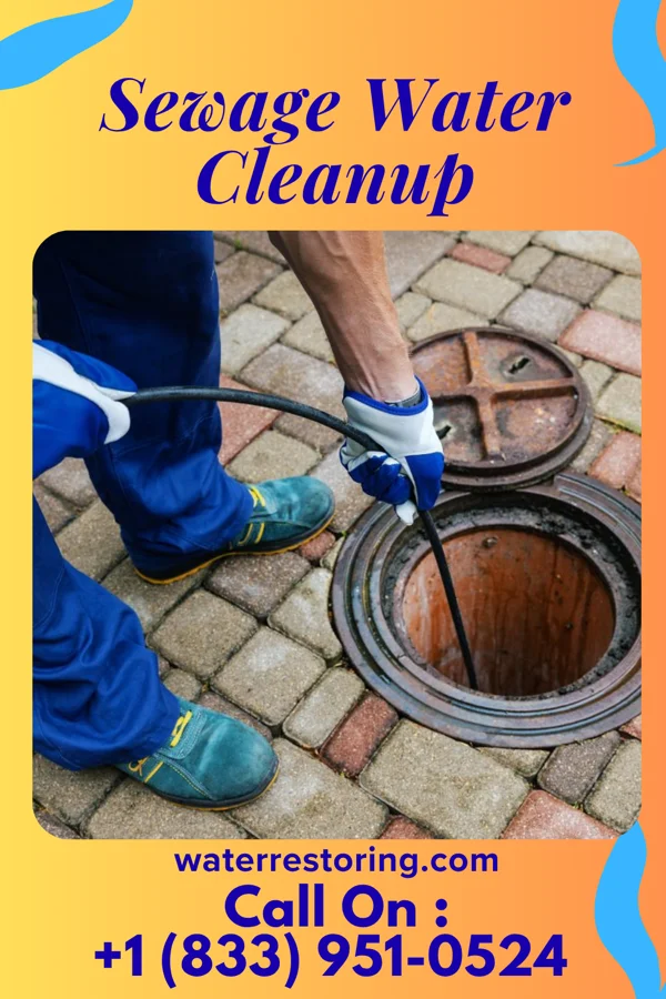 Sewage Water Cleanup in Shadyside, OH