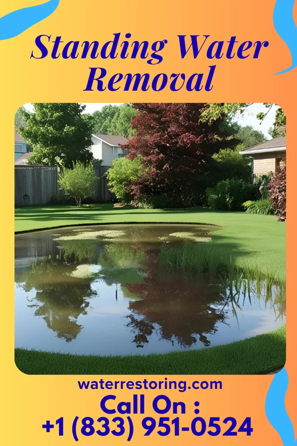 Standing Water Removal in Shadyside, OH